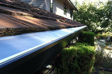 Experienced Lake Forest Park rain gutter contractor in WA near 98155