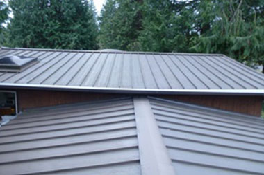 Professional Hunts Point gutter cleaning in WA near 98004